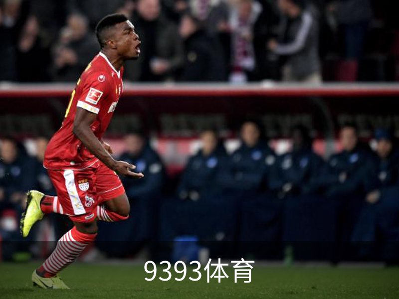 9393体育介绍